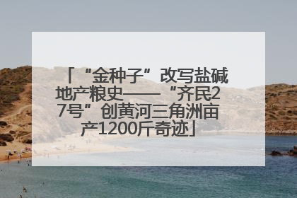 “金种子”改写盐碱地产粮史——“齐民27号”创黄河三角洲亩产1200斤奇迹