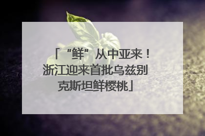 “鲜”从中亚来！浙江迎来首批乌兹别克斯坦鲜樱桃