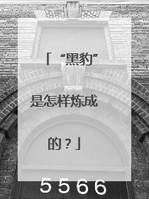 “黑豹”是怎样炼成的？