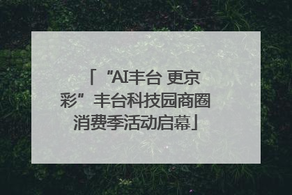 “AI丰台 更京彩”丰台科技园商圈消费季活动启幕