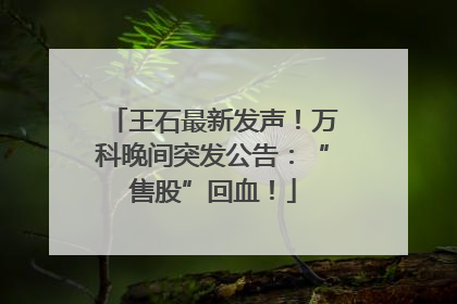 王石最新发声！万科晚间突发公告：“售股”回血！