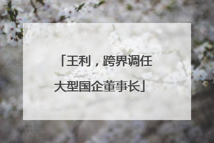 王利，跨界调任大型国企董事长