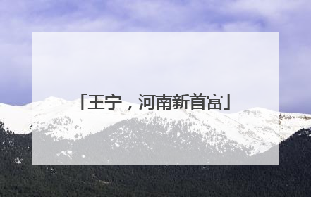 王宁，河南新首富