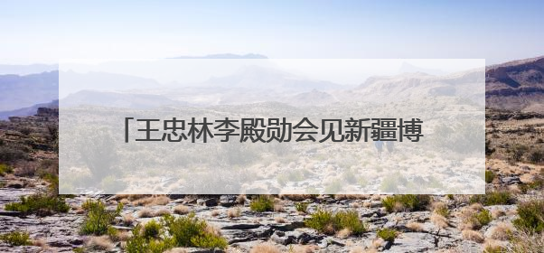 王忠林李殿勋会见新疆博州和兵团第五师双河市党政代表团 坚决扛牢对口援疆重大政治责任 推动双方实现优势互补务实合作
