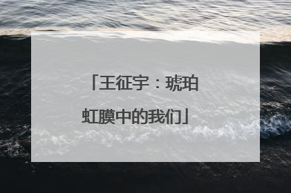 王征宇：琥珀虹膜中的我们