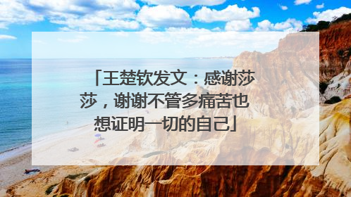 王楚钦发文：感谢莎莎，谢谢不管多痛苦也想证明一切的自己