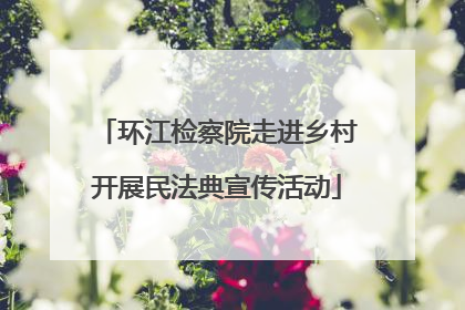 环江检察院走进乡村开展民法典宣传活动