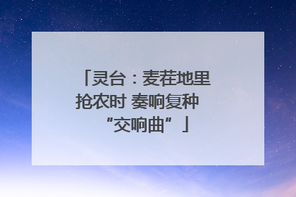 灵台：麦茬地里抢农时 奏响复种“交响曲”