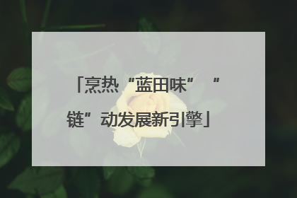 烹热“蓝田味”“链”动发展新引擎