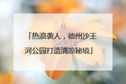 热浪袭人，德州沙王河公园打造清凉秘境