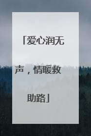 爱心润无声，情暖救助路
