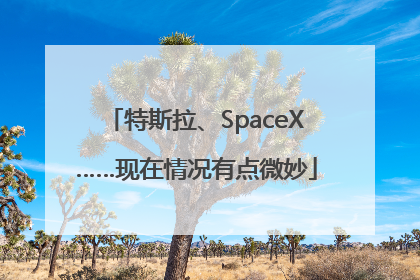 特斯拉、SpaceX……现在情况有点微妙