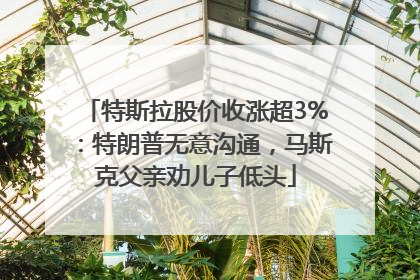 特斯拉股价收涨超3%：特朗普无意沟通，马斯克父亲劝儿子低头