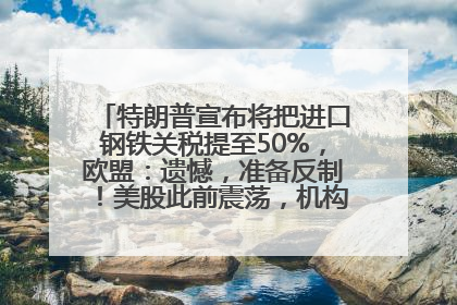 特朗普宣布将把进口钢铁关税提至50%，欧盟：遗憾，准备反制！美股此前震荡，机构：美元正进入熊市