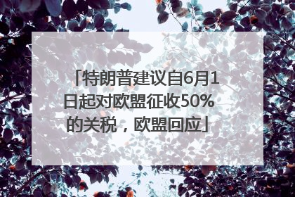 特朗普建议自6月1日起对欧盟征收50%的关税，欧盟回应