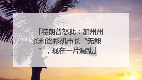 特朗普怒批：加州州长和洛杉矶市长“无能”，现在一片混乱