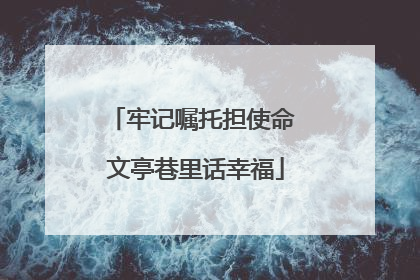 牢记嘱托担使命 文亭巷里话幸福