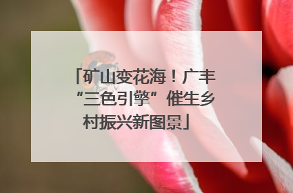 矿山变花海！广丰“三色引擎”催生乡村振兴新图景