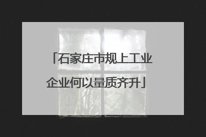 石家庄市规上工业企业何以量质齐升