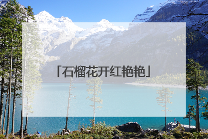 石榴花开红艳艳