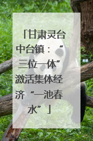 甘肃灵台中台镇：“三位一体”激活集体经济“一池春水”
