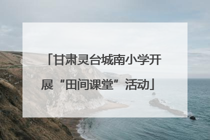 甘肃灵台城南小学开展“田间课堂”活动