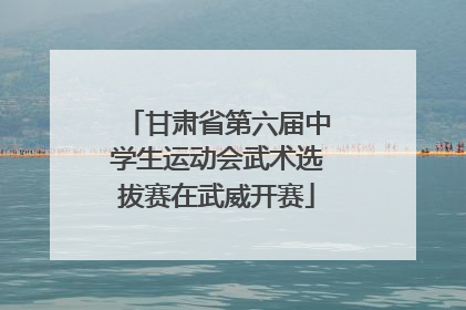 甘肃省第六届中学生运动会武术选拔赛在武威开赛