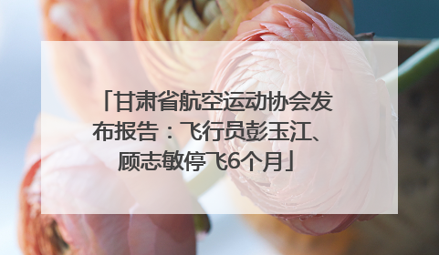 甘肃省航空运动协会发布报告：飞行员彭玉江、顾志敏停飞6个月