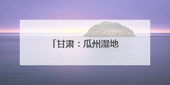 甘肃：瓜州湿地迎来野生“精灵”繁殖高峰期