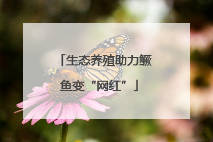 生态养殖助力鳜鱼变“网红”