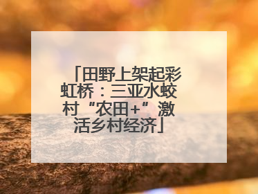 田野上架起彩虹桥：三亚水蛟村“农田+”激活乡村经济