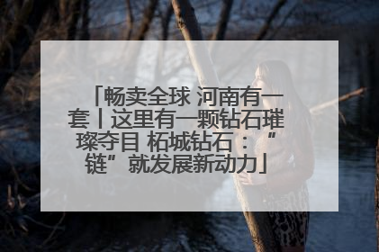 畅卖全球 河南有一套丨这里有一颗钻石璀璨夺目 柘城钻石：“链”就发展新动力