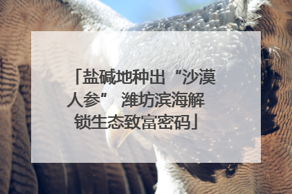 盐碱地种出“沙漠人参” 潍坊滨海解锁生态致富密码