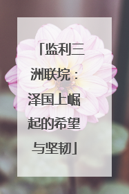 监利三洲联垸：泽国上崛起的希望与坚韧