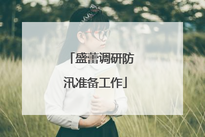 盛蕾调研防汛准备工作