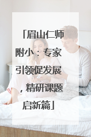 眉山仁师附小：专家引领促发展，精研课题启新篇