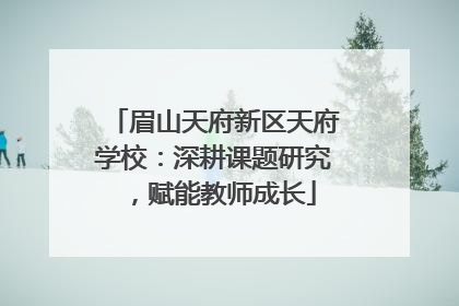 眉山天府新区天府学校：深耕课题研究，赋能教师成长