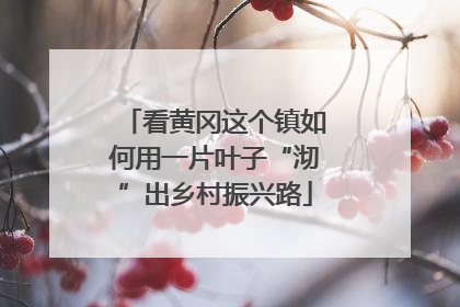 看黄冈这个镇如何用一片叶子“沏”出乡村振兴路