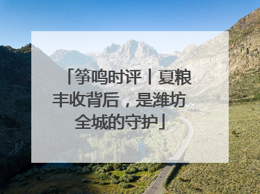 筝鸣时评丨夏粮丰收背后，是潍坊全城的守护