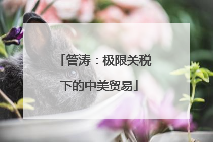管涛：极限关税下的中美贸易