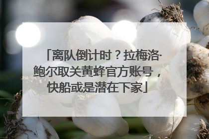 离队倒计时？拉梅洛·鲍尔取关黄蜂官方账号，快船或是潜在下家