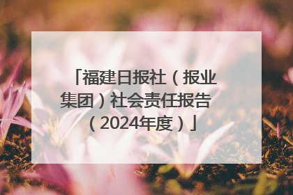 福建日报社（报业集团）社会责任报告（2024年度）