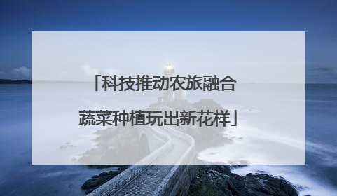科技推动农旅融合 蔬菜种植玩出新花样