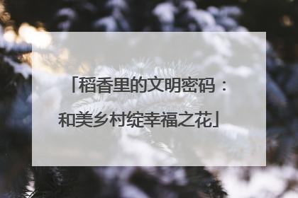 稻香里的文明密码：和美乡村绽幸福之花