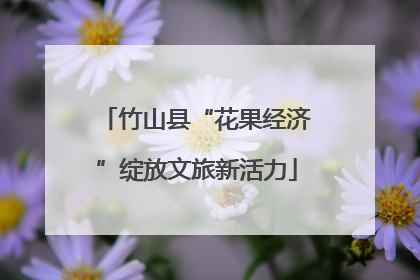 竹山县“花果经济”绽放文旅新活力