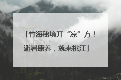 竹海秘境开“凉”方！避暑康养，就来桃江