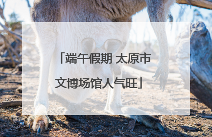 端午假期 太原市文博场馆人气旺