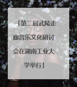 第二届武陵走廊音乐文化研讨会在湖南工业大学举行