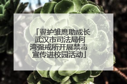 翼护雏鹰助成长 武汉市司法局何湾强戒所开展禁毒宣传进校园活动