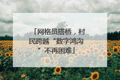 网格员搭桥，村民跨越“数字鸿沟”不再困难